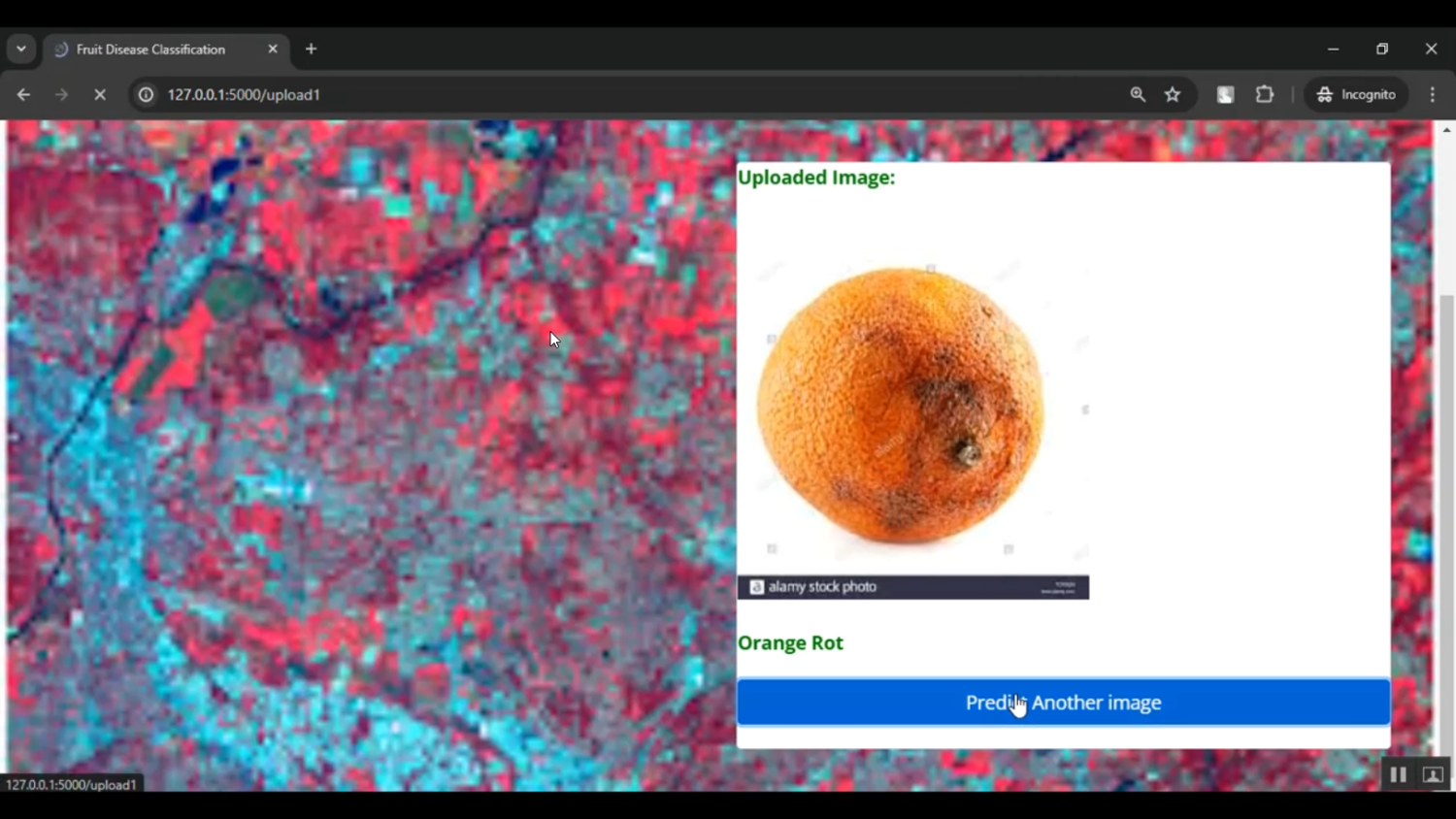 Fruit Disease Classification using Apple and Orange in Python Projects