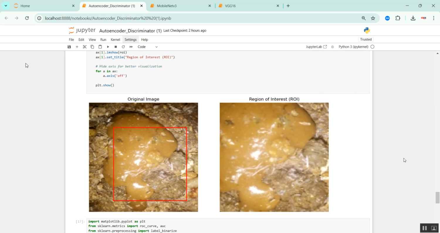Chicken Disease Prediction in Python Projects
