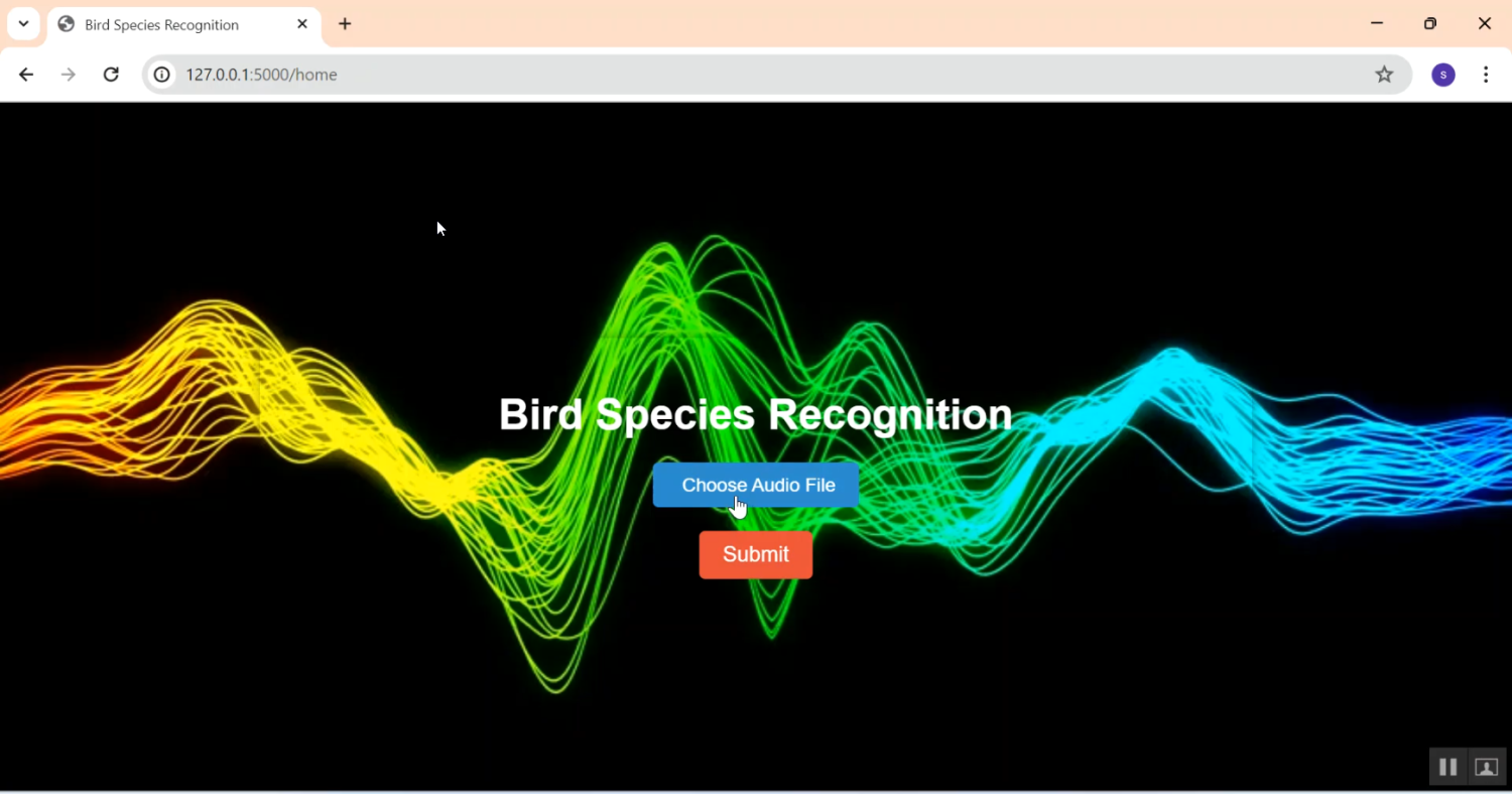 Bird Species Recognition in Python Projects