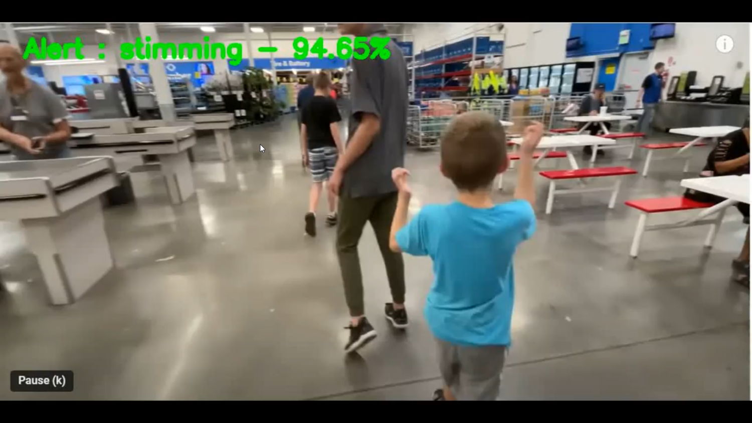 Autism Future Classiciation using Video in Python Projects