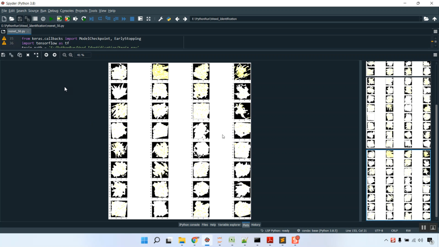 Weed Identification CNN Train Analysis in Python Projects